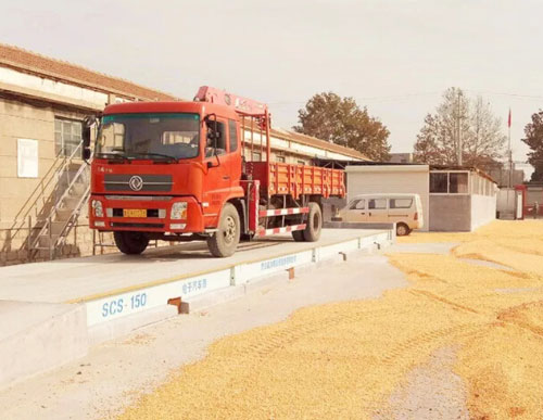 地磅衡器稱糧食現場